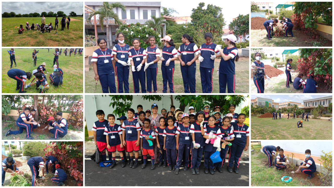 https://www.navodayacentralschool.edu.in/wp-content/uploads/2024/11/photo-collage.png-25-1280x720.png